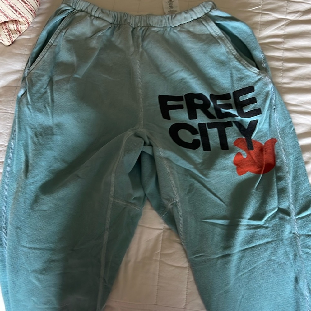 Free City sweats in a turq blueish color . Oversized